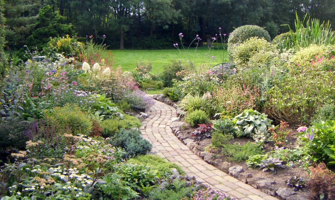header  Kleinere tuin in de Aa-landen augustus 2011 Custom