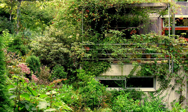 8-Villatuin-bij-Hattem-zijaanzicht-huis-en-balkon-vanaf-het-pad-dat-door-de-border-loopt.-Vijf-jaar-na-aanleg-770